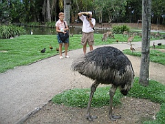 110 Port Douglas Wildlife Habitat